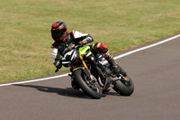 BIKES 1402