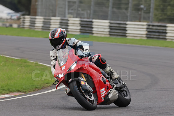 BIKES 0784