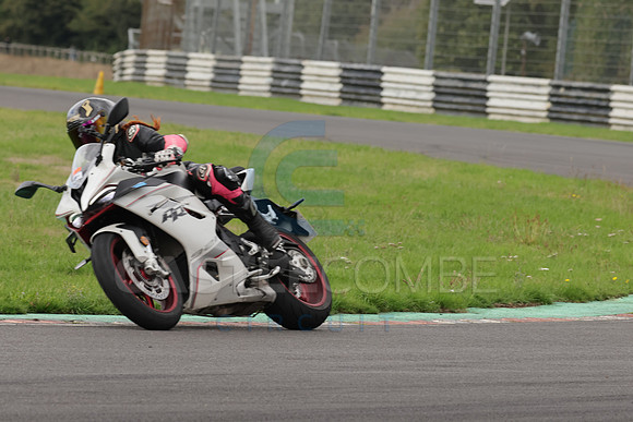 BIKES 0967