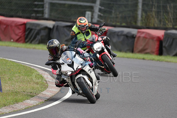 BIKES 1613