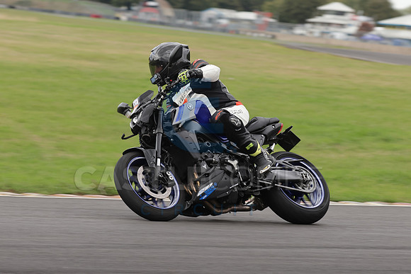 BIKES 1019