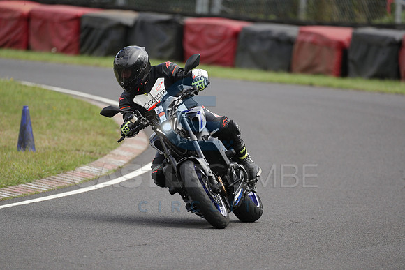 BIKES 1595