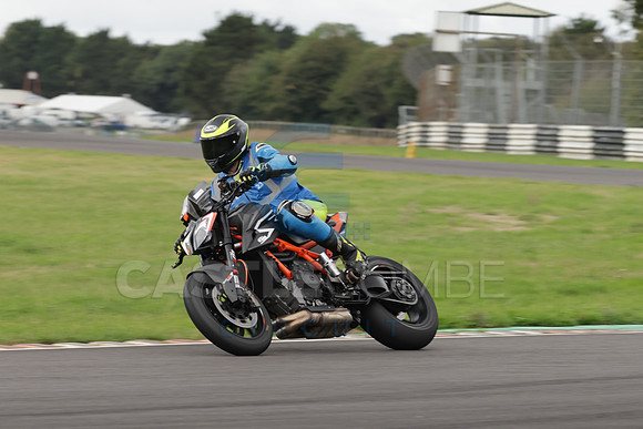 BIKES 1154