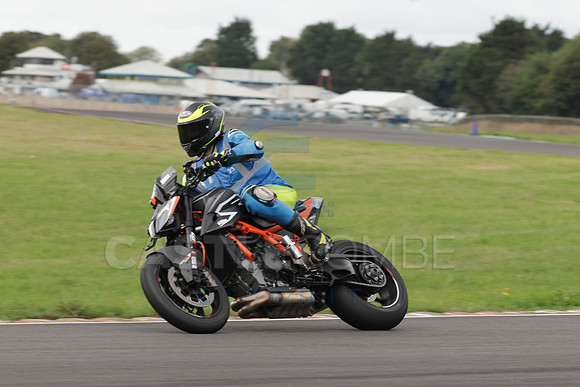 BIKES 1155