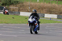 Suzuki GSX R blue n white