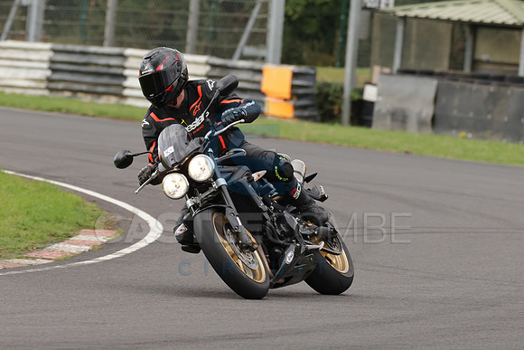 BIKES 1069