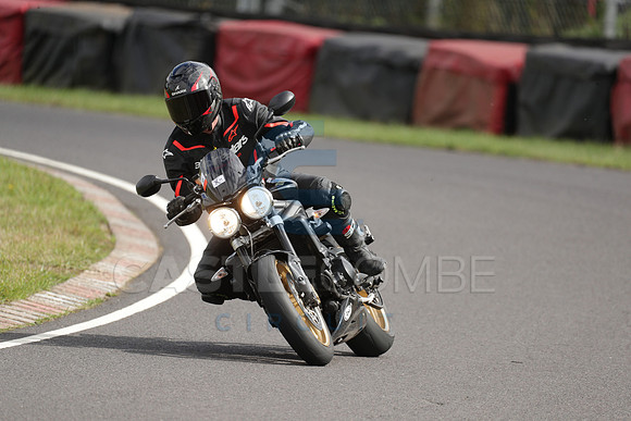 BIKES 1695