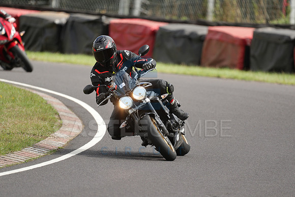 BIKES 1724