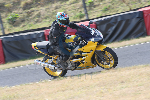 BIKES 1229
