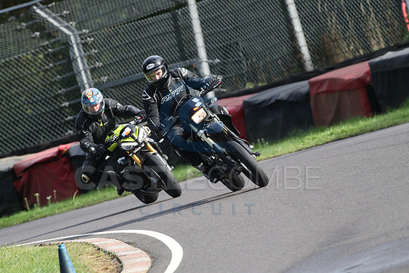 BIKES 1449