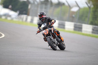 BIKES 1319