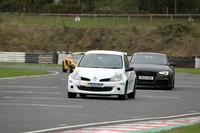 ( Renault White )