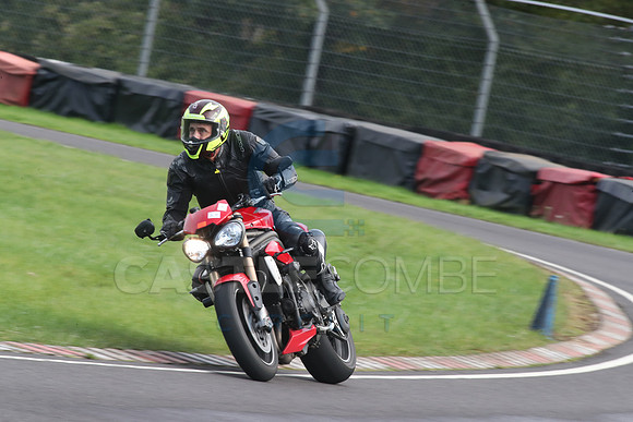 BIKES 2101