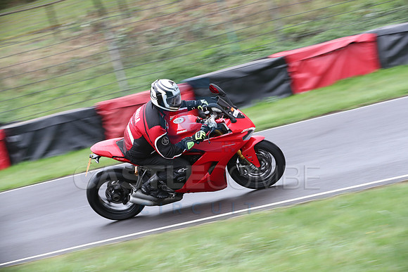 BIKES 0219