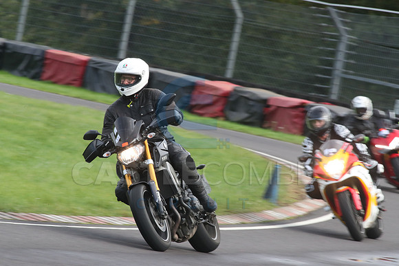 BIKES 2099