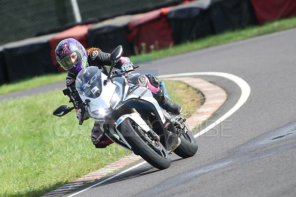 BIKES 1448