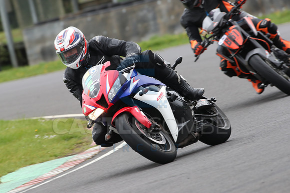 BIKES 0558