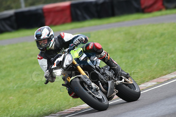 BIKES 1341