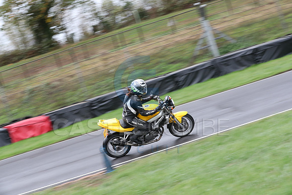 BIKES 0298