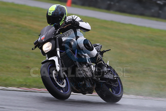 BIKES 1334