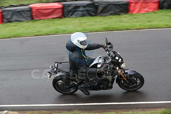 BIKES 0241