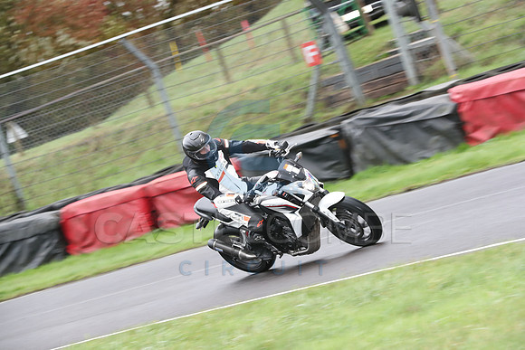 BIKES 0211