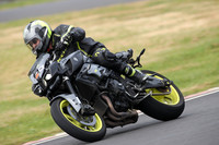 BIKES 0874