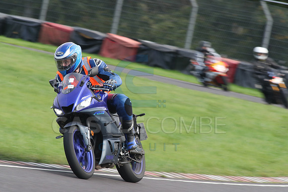 BIKES 2111