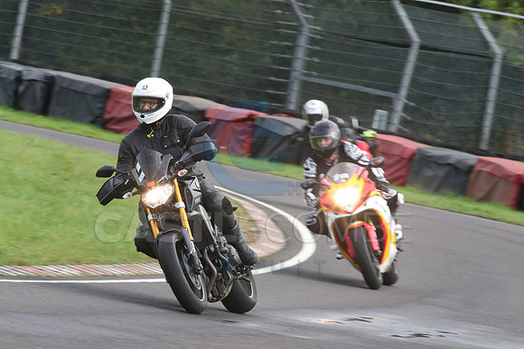 BIKES 2098