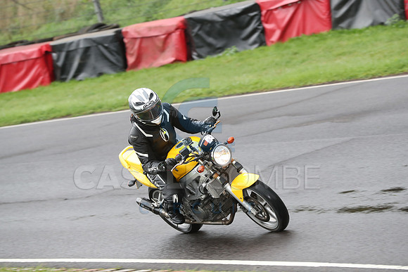 BIKES 0243