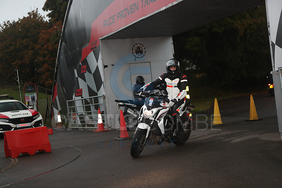BIKES 0085