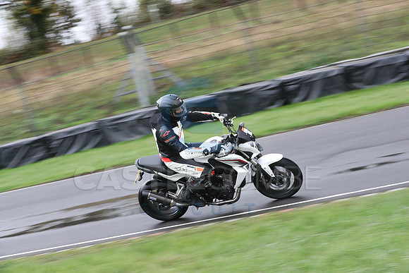 BIKES 0294
