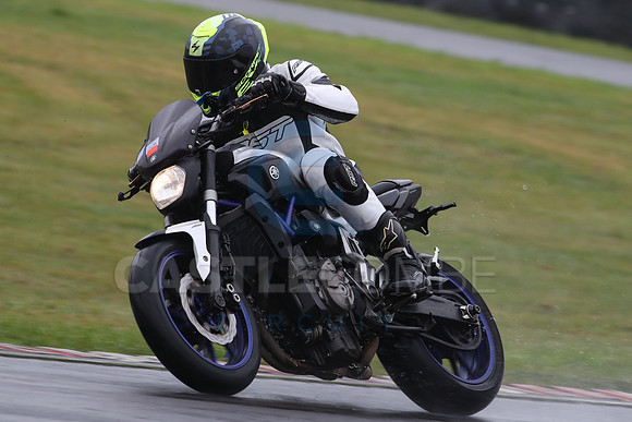 BIKES 1335