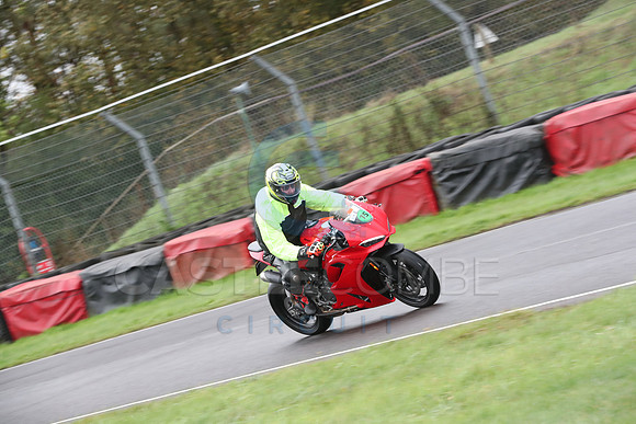 BIKES 0176