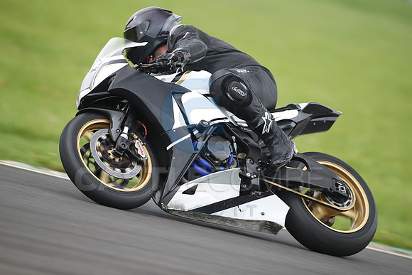 BIKES 1411