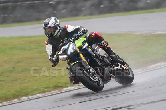 BIKES 0981