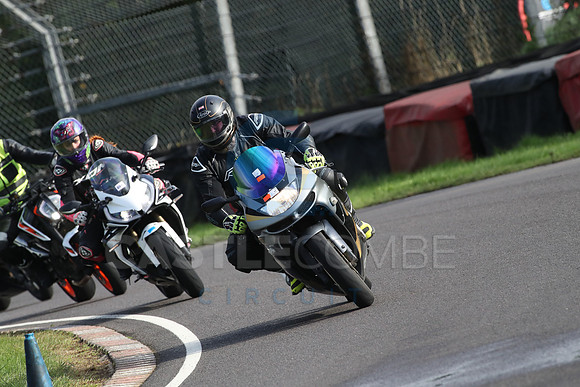 BIKES 1466
