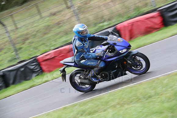 BIKES 0209
