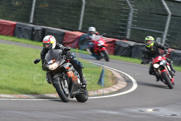 BIKES 2116