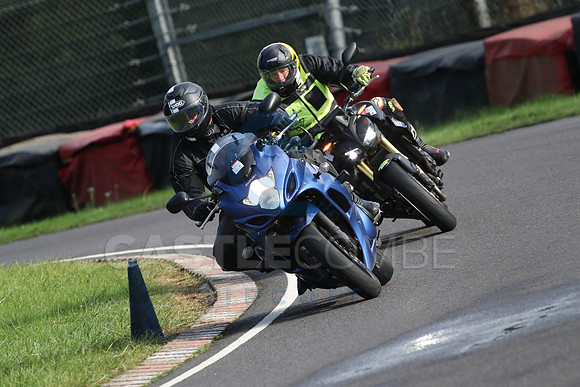 BIKES 1479