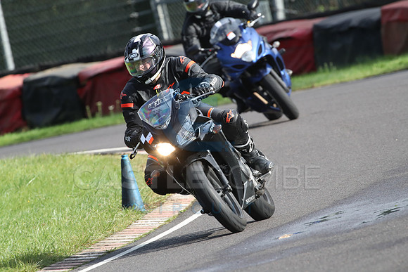 BIKES 1454
