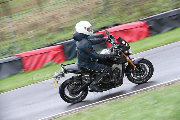 BIKES 0231