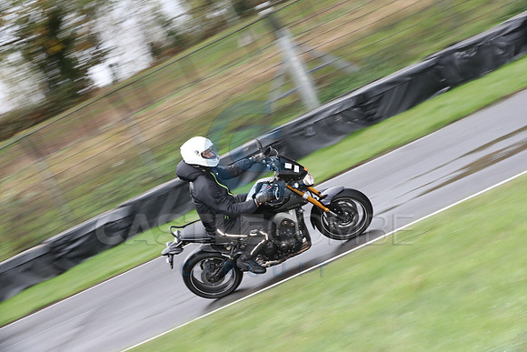 BIKES 0296