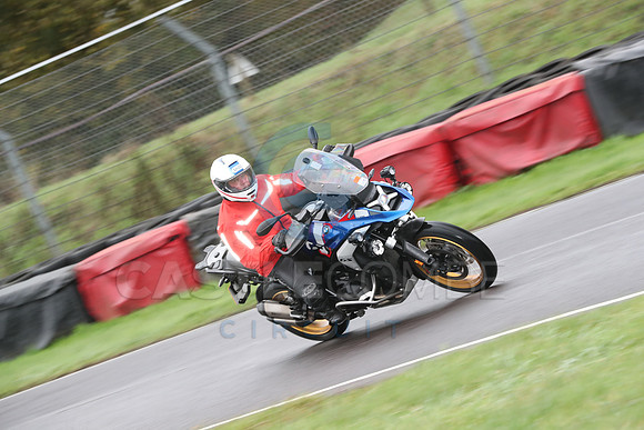 BIKES 0173