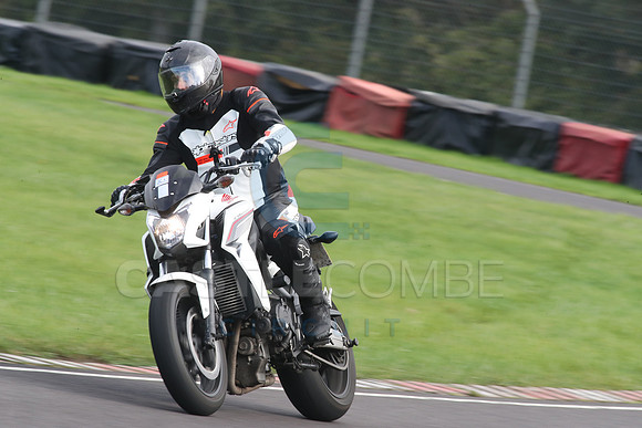 BIKES 2107