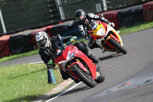 BIKES 1442