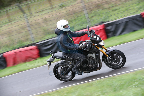 BIKES 0230