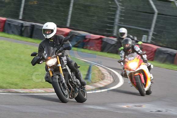 BIKES 2113