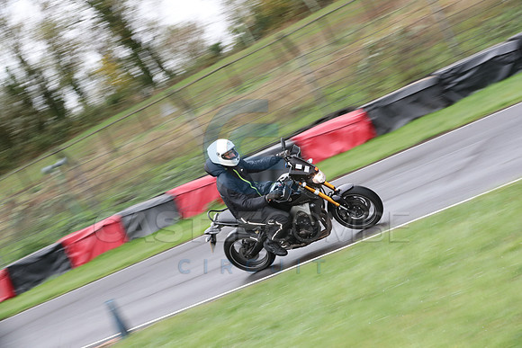 BIKES 0295