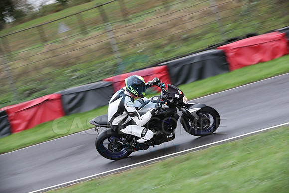 BIKES 0318